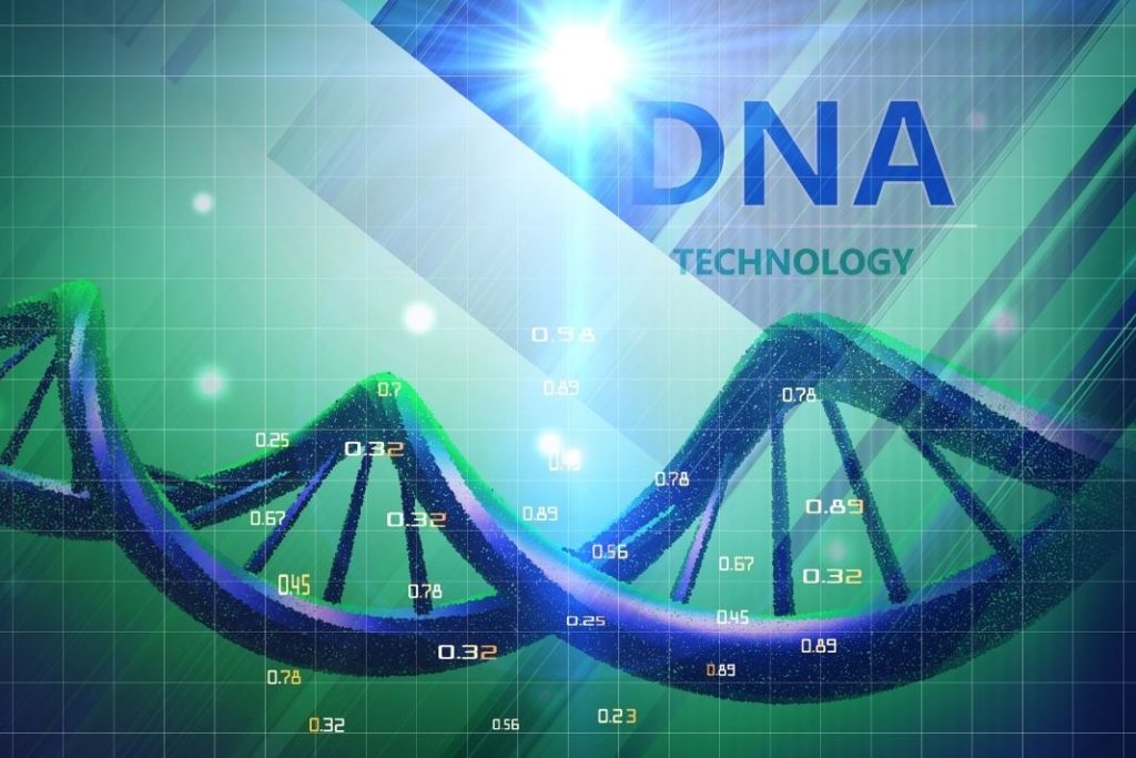 CRISPR ist ein Akronym für _Clustered Regularly Interspaced Short Palindromic Repeats_